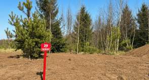 Цена на участок 6.8 соток , фотография 1