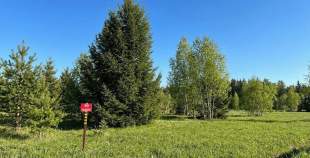 Купить участок 6.8 соток , фотография 6