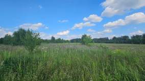 Куплю участок 8.0 соток , фотография обложки