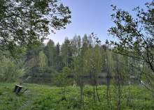 Продать участок 10.0 соток , фотография 2