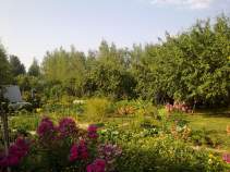 Куплю дом на участке  соток , фотография 4