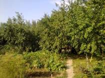 Купить дом на участке  соток , фотография 5