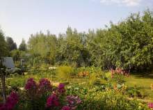 Куплю дом на участке  соток , фотография 4