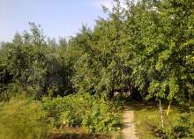 Купить дом на участке  соток , фотография 5