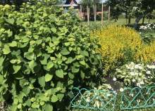 Цена на дом на участке  соток , фотография 1