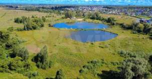 Покупка участок 240.0 соток , фотография 3