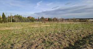 Покупка участок 9.0 соток , фотография 3