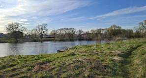 Куплю участок 9.0 соток , фотография 4