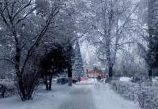 Купить участок 7.2 соток , фотография 5