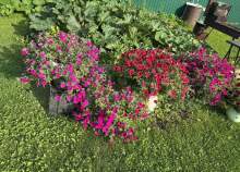 Продать дом на участке  соток , фотография 2