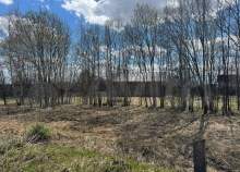 Куплю участок 5.0 соток , фотография 4