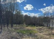 Покупка участок 10.0 соток , фотография 3