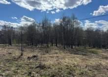 Продать участок 8.0 соток , фотография 2