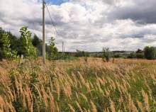 Покупка участок 4.0 соток , фотография 3