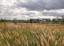 Куплю участок 4.0 соток , фотография 4