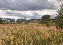 Купить участок 4.0 соток , фотография 5