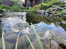 Цена на участок 6.2 соток , фотография 1