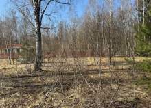 Продать участок 9.0 соток , фотография 2