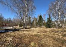 Покупка участок 9.0 соток , фотография 3