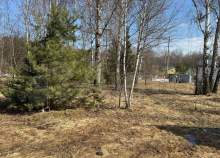 Куплю участок 9.0 соток , фотография 4