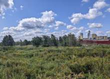 Покупка участок 730.2 соток , фотография 3