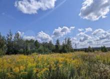 Купить участок 730.2 соток , фотография 5