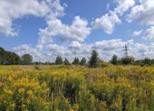 Купить участок 730.2 соток , фотография 7