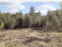Продать участок 7.0 соток , фотография 2