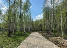 Купить участок 5.0 соток Московская область, Чехов, Московская обл., муниципальный округ Чехов, д. Сенино, Милягинская ул., 2/4 Покупка участок 5.0 соток , фотография 3