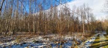 Купить участок 30.0 соток , фотография 9
