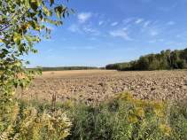 Купить участок 15.0 соток , фотография 7