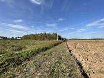 Купить участок 15.0 соток , фотография 8