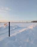 Куплю участок 6.0 соток , фотография обложки