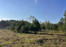 Купить участок 39.0 соток , фотография 7