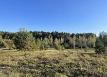 Купить участок 39.0 соток , фотография 8