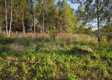 Куплю участок 17.0 соток , фотография обложки