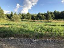 Купить участок 9.5 соток Московская область, Чехов муниципальный округ, пос. Солнечный круг, ул. Красная Купить участок 9.5 соток , фотография 6