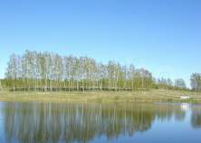 Куплю участок 120.0 соток , фотография 4