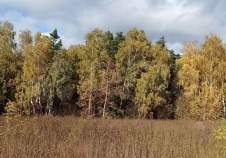 Покупка участок 10.0 соток , фотография 3