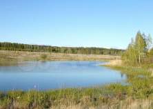 Куплю участок 10.0 соток , фотография 4