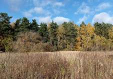 Покупка участок 40.0 соток , фотография 3