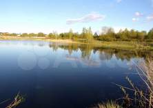 Куплю участок 40.0 соток , фотография 4