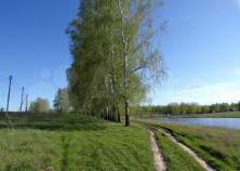 Куплю участок 20.0 соток , фотография 4