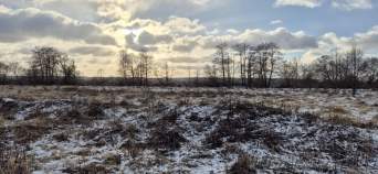 Цена на участок 19.1 соток , фотография 1