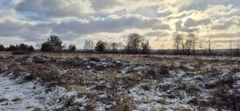 Продать участок 19.1 соток , фотография 2