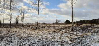 Покупка участок 19.1 соток , фотография 3