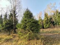 Купить участок 7.0 соток Московская область, Домодедово, Битягово, Пионерская улица, 6 Купить участок 7.0 соток , фотография 7