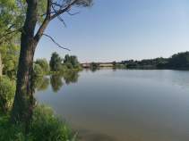 Куплю участок 8.0 соток , фотография обложки