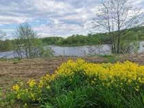 Купить участок 9.4 соток , фотография 6