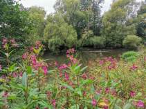 Фотография Участок, 9.3 сот., поселения (ижс), Домодедово, Московская область, Россия КП «Медная подкова» Куплю участок 9.3 соток , фотография обложки